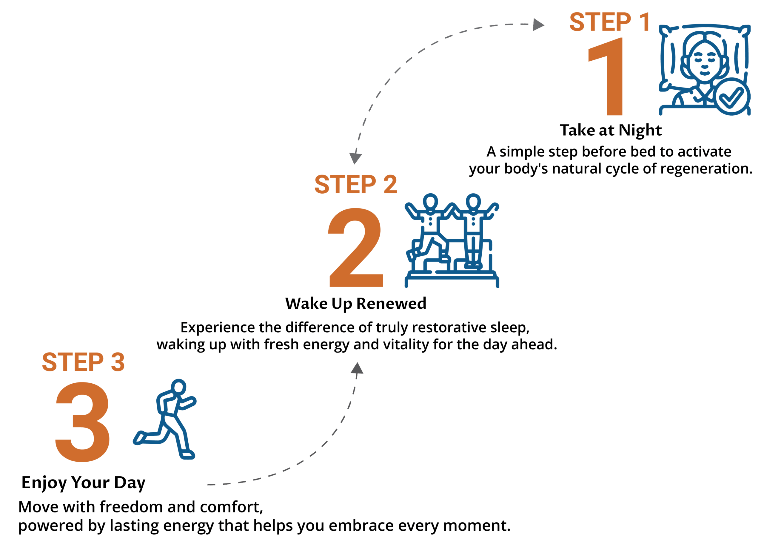 3-Step Cycle for Energy and Renewal | Your Wellness Routine 3-step infographic: Take at night to activate regeneration, wake up restored with vitality, and live actively all day with energy and mobility.
